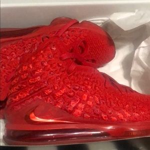 Lebron sneakers size  9